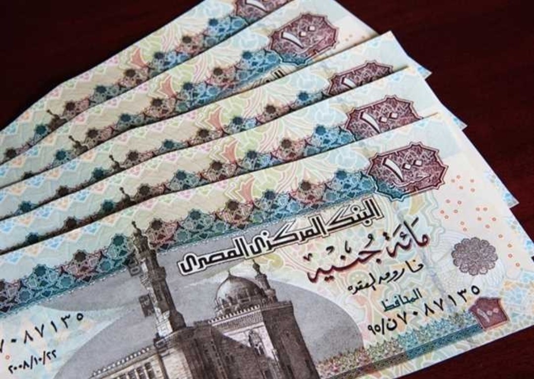 معاش وزارة التضامن