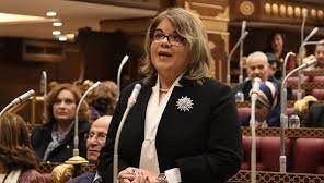 النائبة فيبي فوزي وكيل مجلس الشيوخ