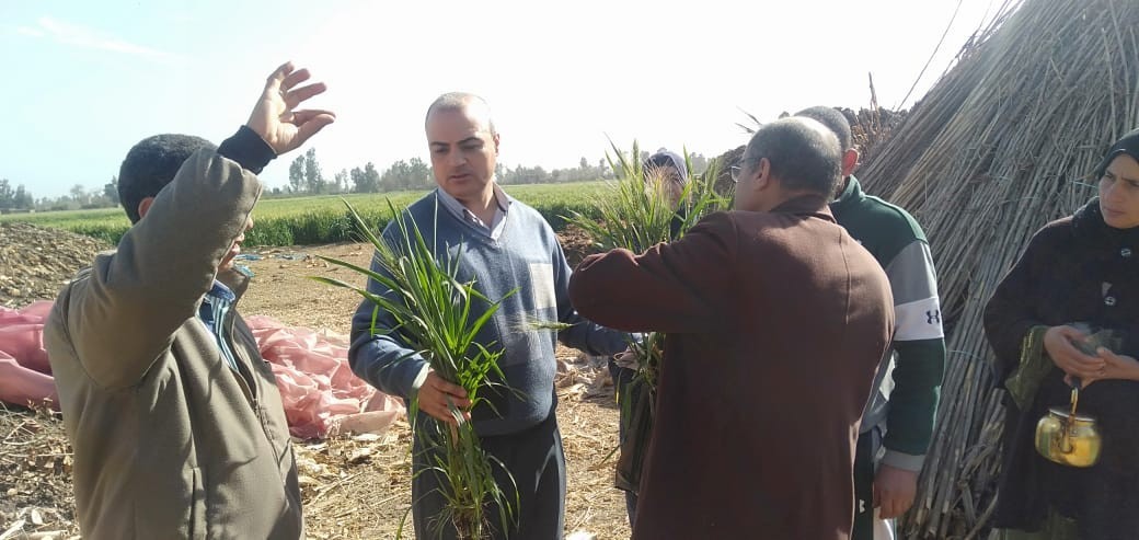 ملخص الأنشطة الإرشادية لمعهد بحوث أمراض النباتات