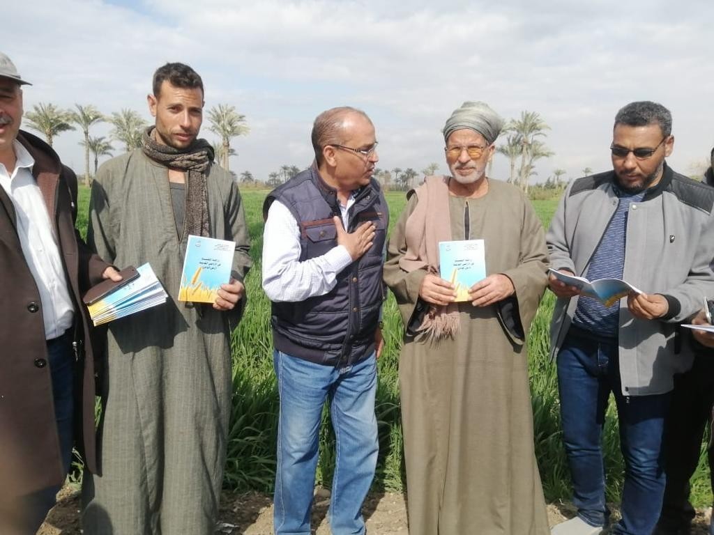 الزراعة تواصل متابعة الحقول الإرشادية