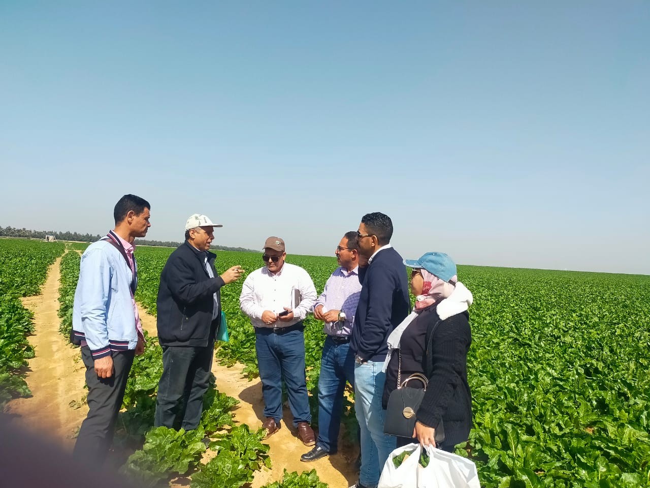 أنشطة معهد بحوث أمراض النباتات