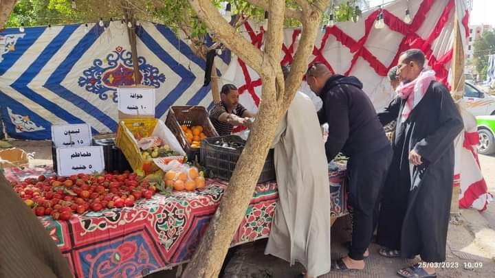 طرح خضراوات بأسعار مخفضة للمواطنين في واحات الوادي الجديد
