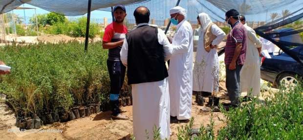 صورة ارشيفية