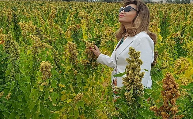  د.شكرية المراكشي/  رئيس مجلس إدارة شركة مصر تونس  للتنمية الزراعية واستصلاح الأراضي