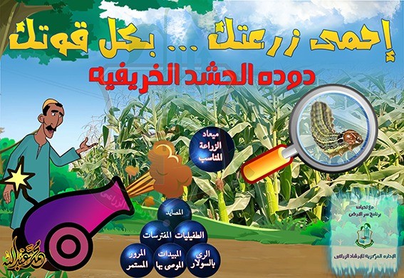 استعدادات الزراعة لمكافحة دودة الحشد بمحصول الذرة