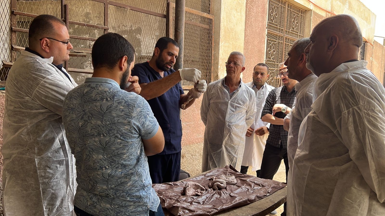 جانب من الدورة