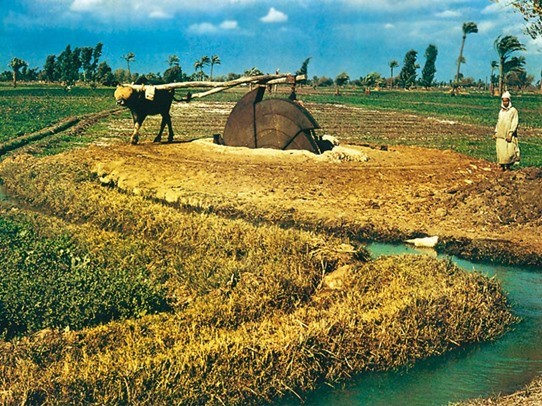 صورة تعبيرية
