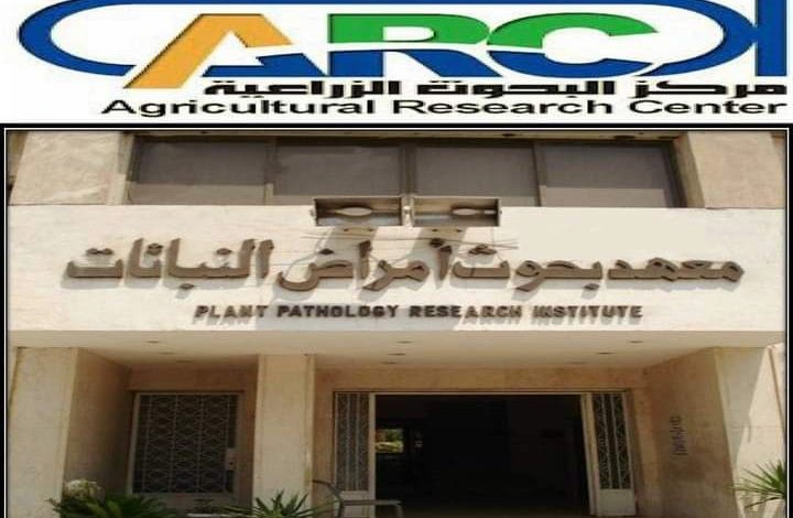 معهد بحوث أمراض النباتات
