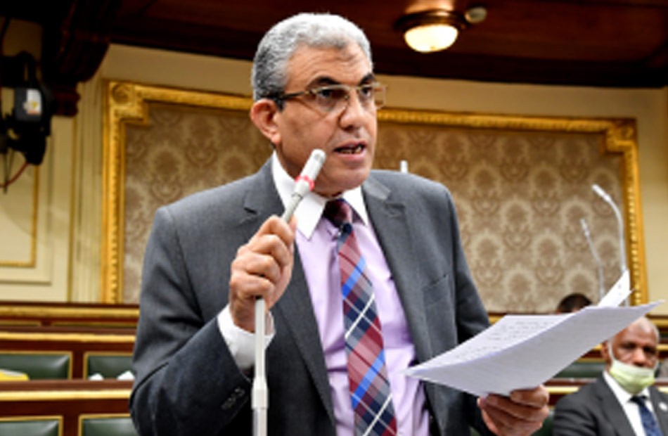 النائب عادل عبد الفضيل رئيس لجنة القوى العاملة بمجلس النواب
