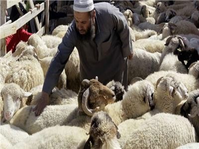 صورة تعبيرية 
