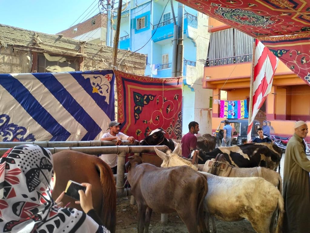 قوافل بيطرية 
