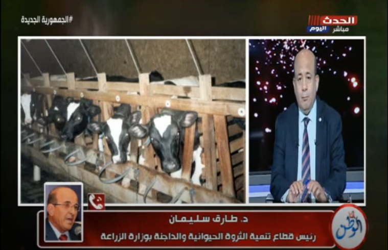 رئيس قطاع الثروة الحيوانية خلال مداخلة هاتفية