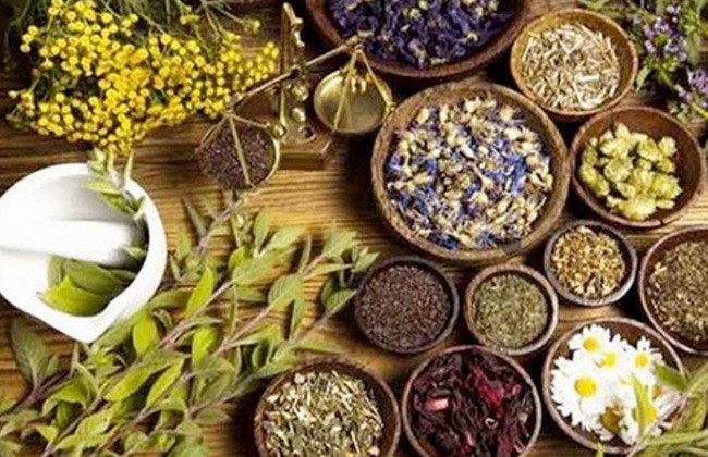النباتات العطرية والطبية