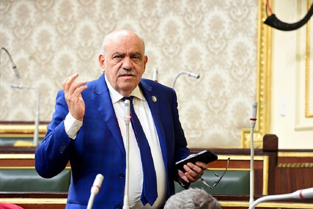 سيد حنفى طه عضو مجلس النواب