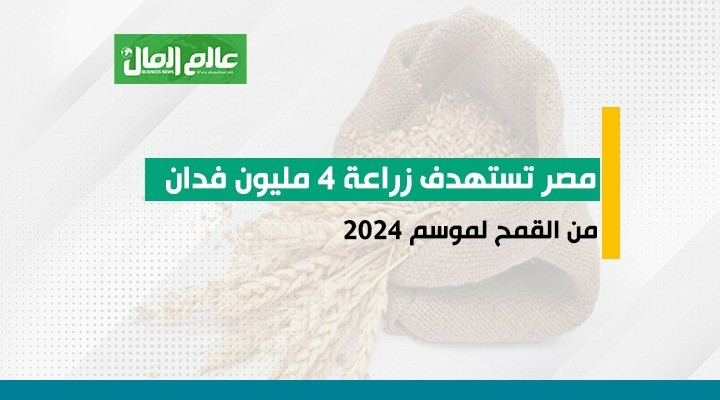 مصر تستهدف زراعة 4 مليون فدان من القمح 