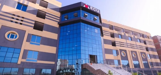 الجامعة المصرية الصينية