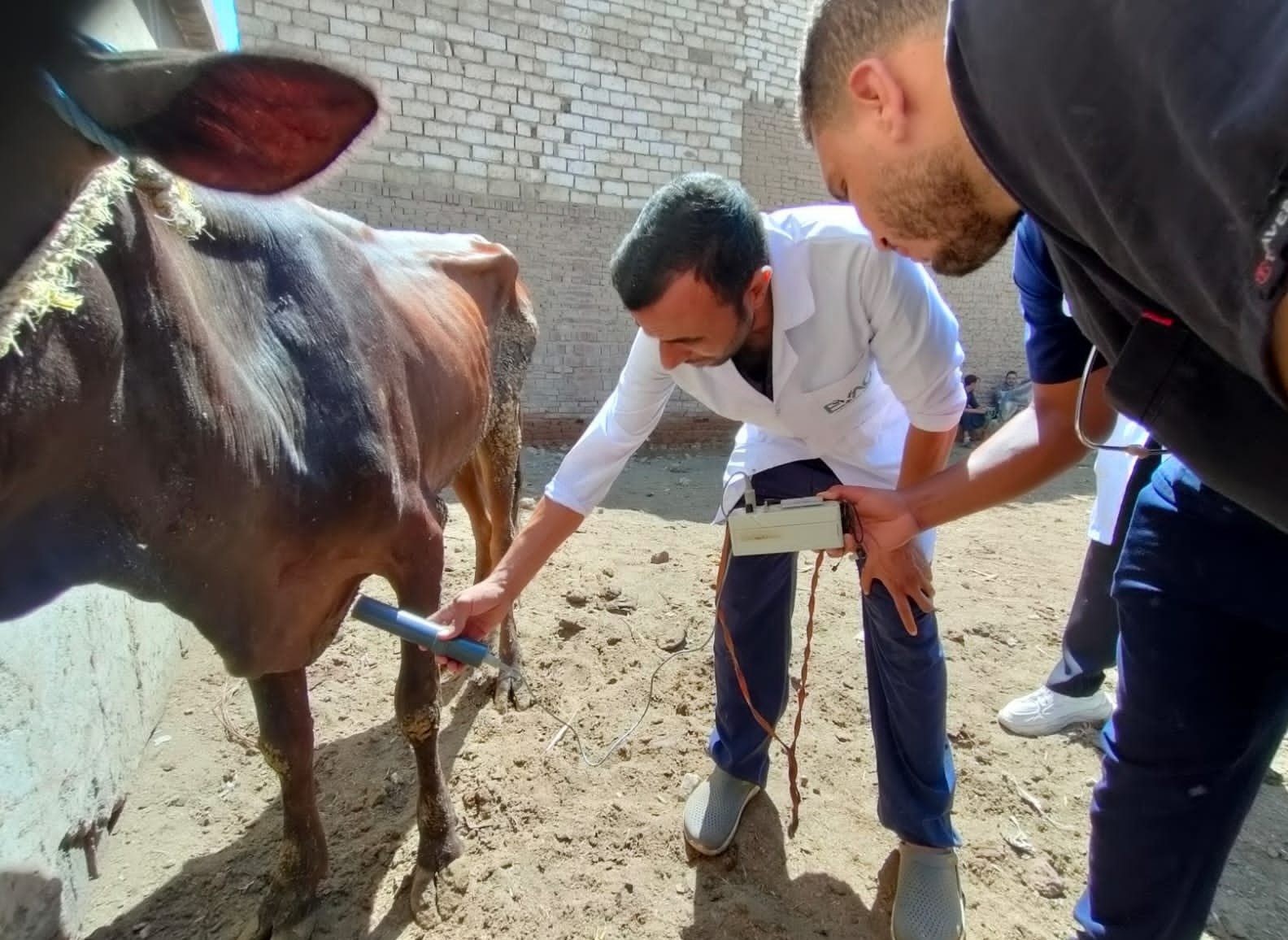 جانب من القافلة البيطرية