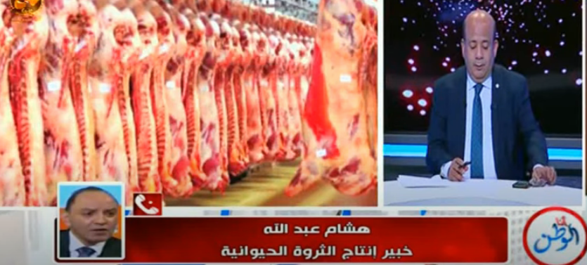 خبير الثروة الحيوانية 