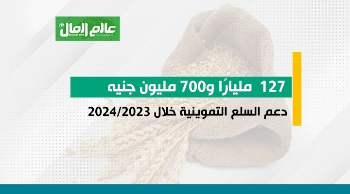 دعم السلع التموينية