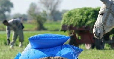 الأسمدة 