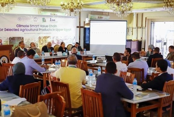 الزراعة والفاو تنظمان ورشة عمل حول التكيف مع تغيرات المناخ
