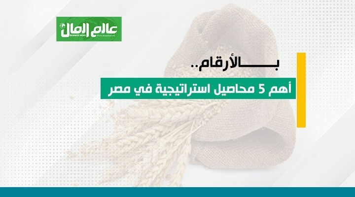 أهم 5 محاصيل استراتيجية في مصر