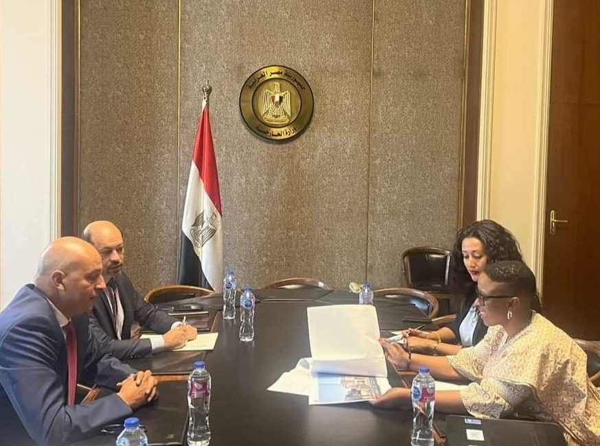 مساعد وزير الخارجية