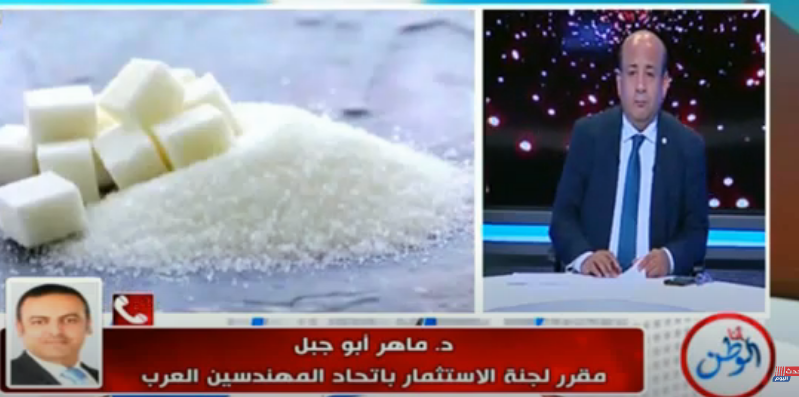 مقرر لجنة الاستثمار خلال مداخلة هاتفية لبرنامج انا الوطن