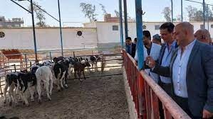 مشروعات الانتاج الحيواني في البنك الزراعي المصري