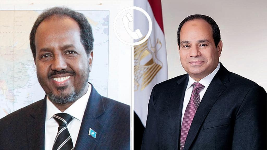 السيسي ورئيس الصومال 