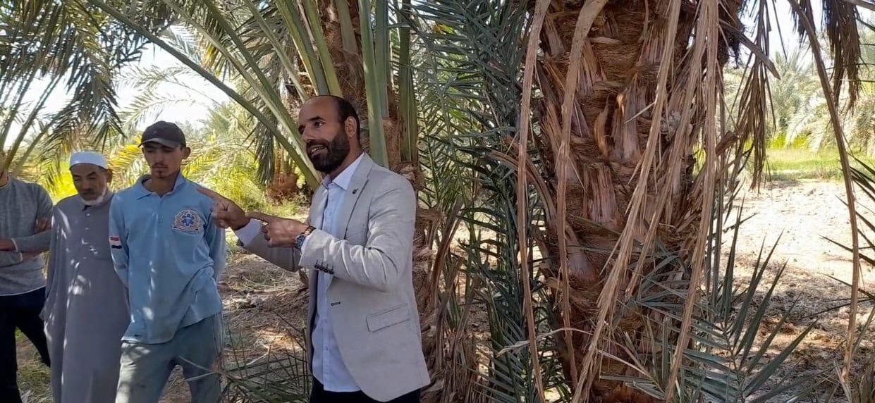 مكافحة القوارض