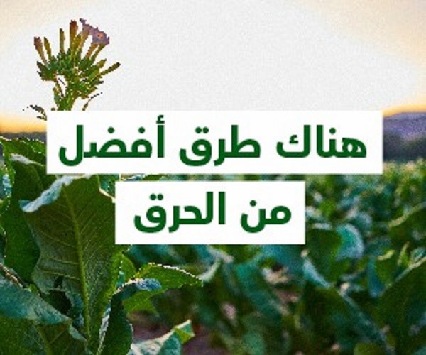 فيليب موريس: هناك طرق أفضل من الحرق