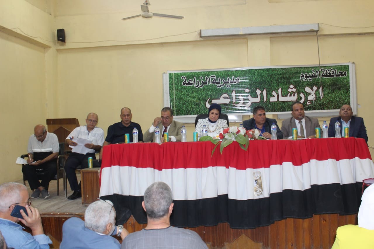 مزاد القطن