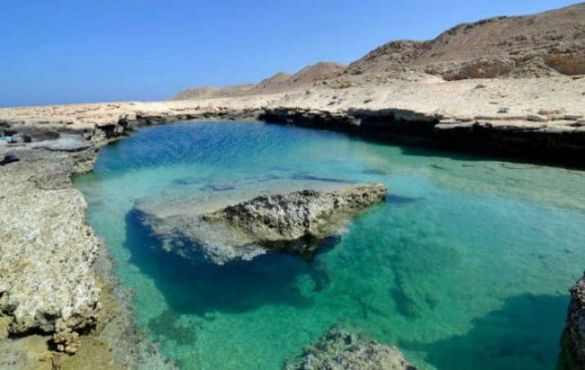 مرسى علم