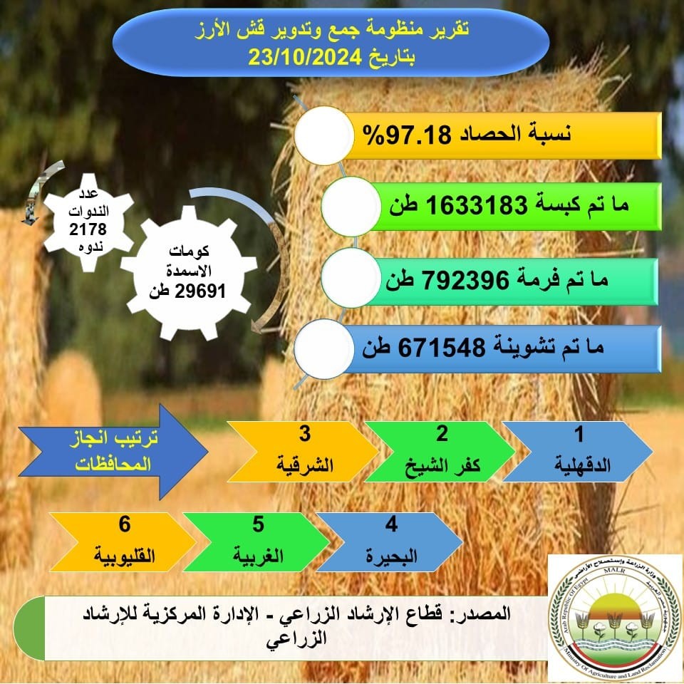 حصاد زراعة الأرز
