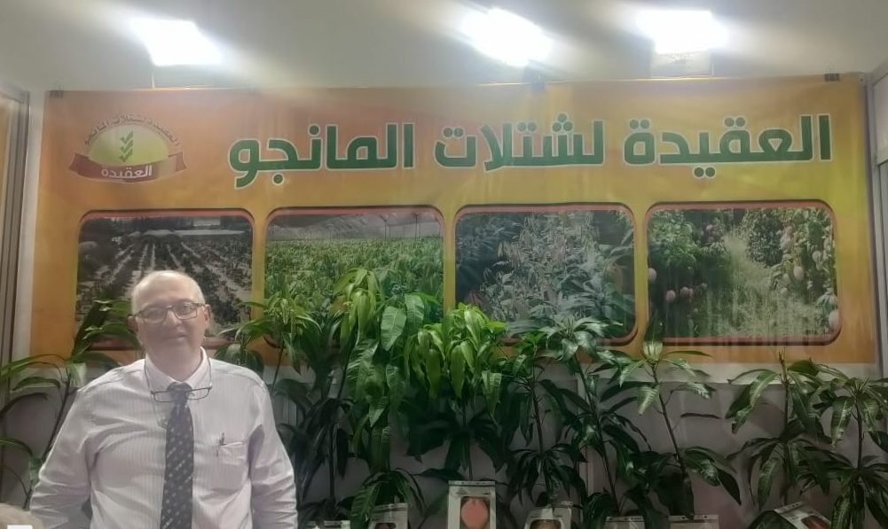 رئيس شركة العقيدة لشتلات المانجو 
