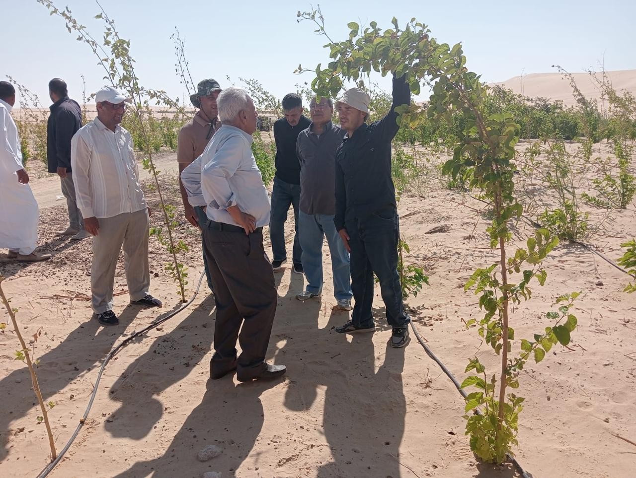 بحوث الصحراء