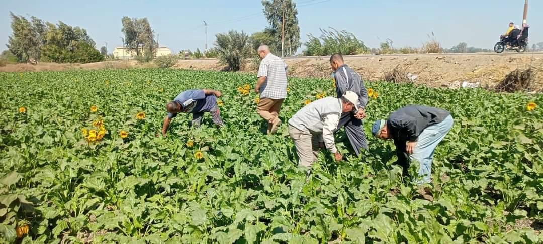 الأنشطة الارشادية 