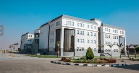 جامعة سيناء