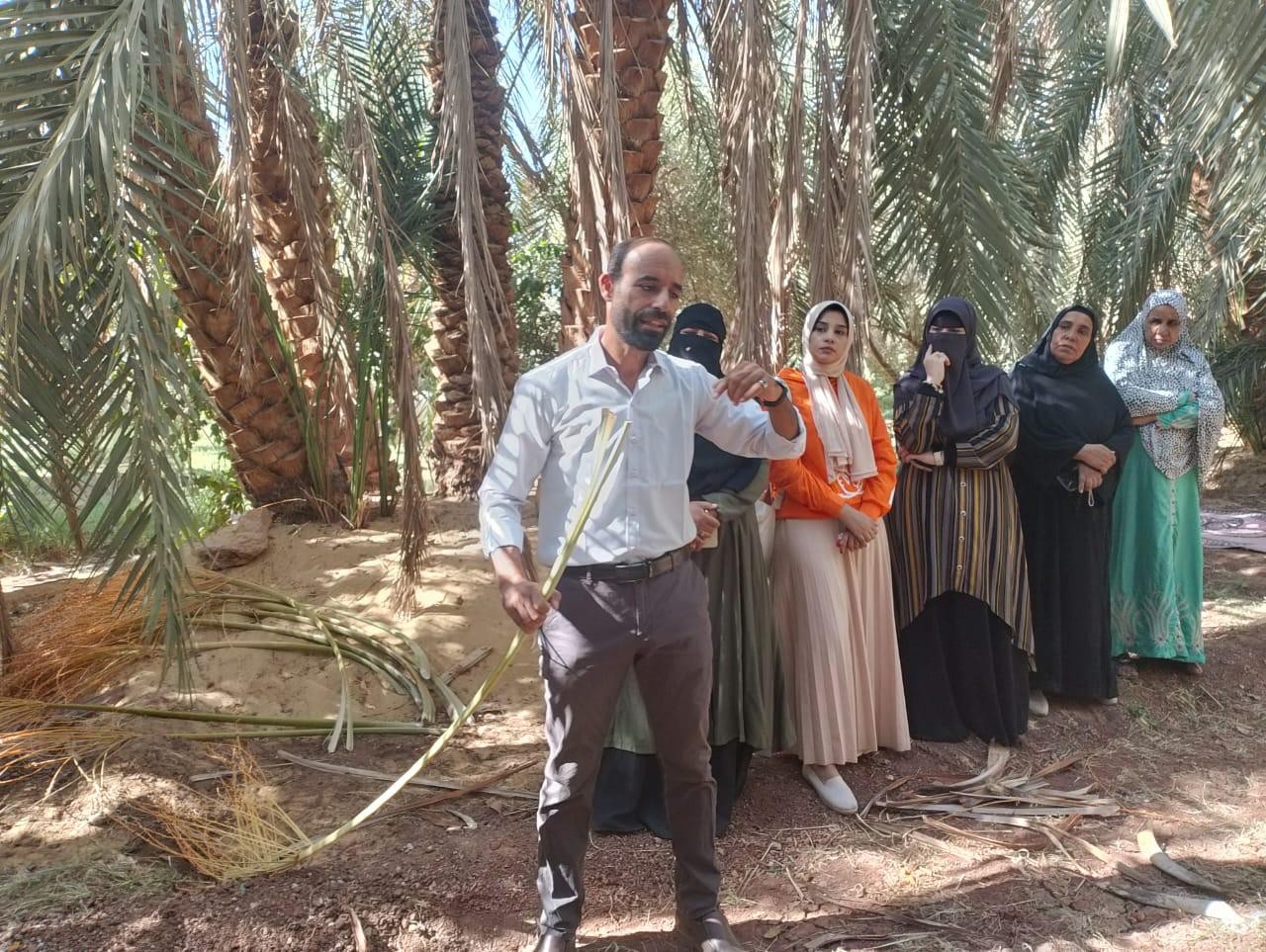 المركزية لمكافحة الآفات