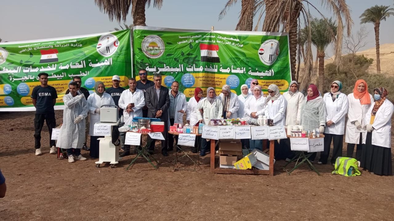 علاج الماشية 