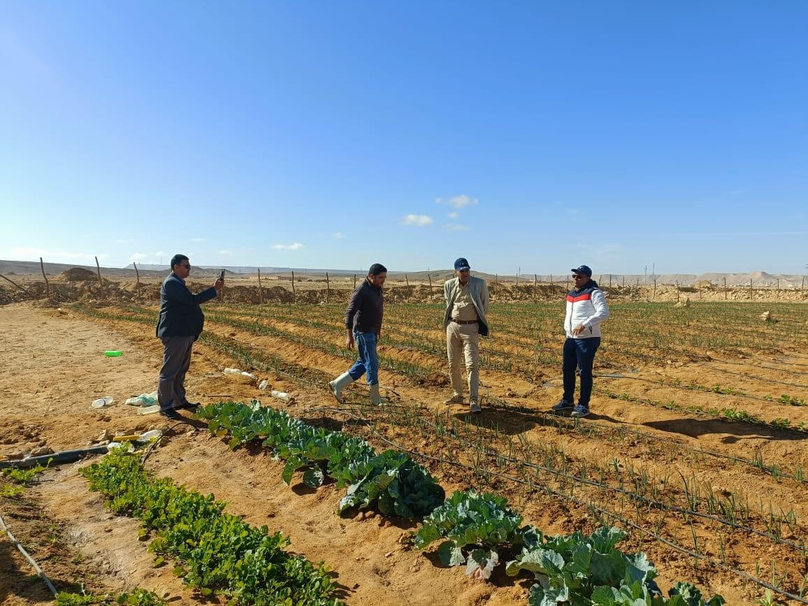 التنمية الزراعية قى سيناء