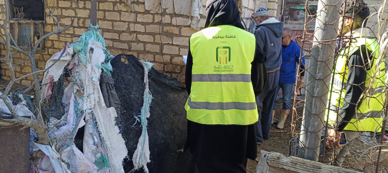 تحصين الماشية 