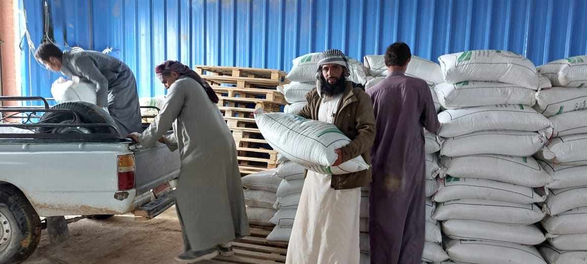 توزيع التقاوى على صغار المزارعين