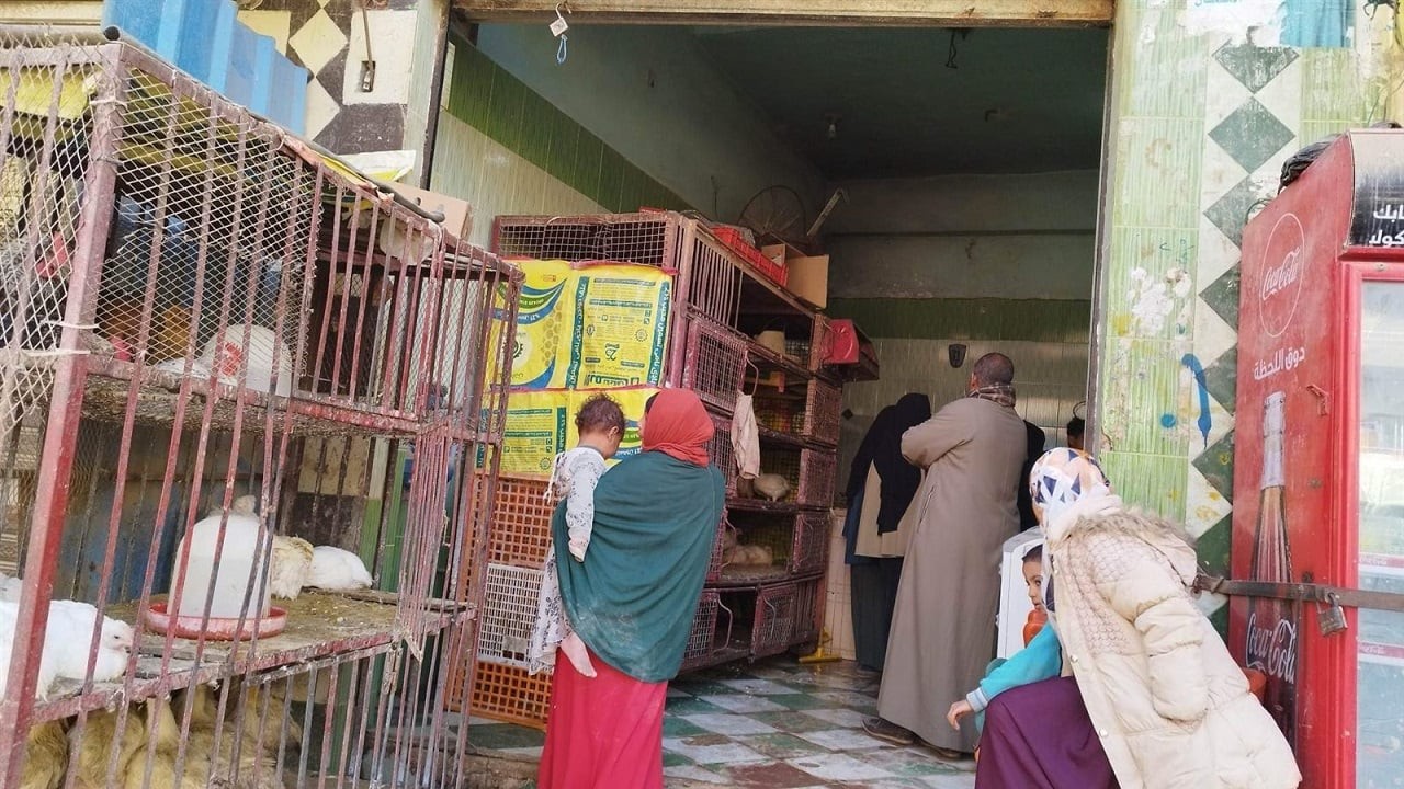 محال لبيع الدواجن