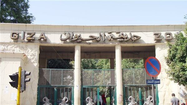 تطوير حديقة الحيوان المصرية