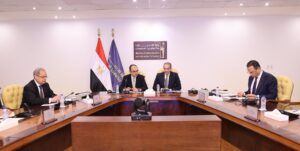 زير قطاع الأعمال العام