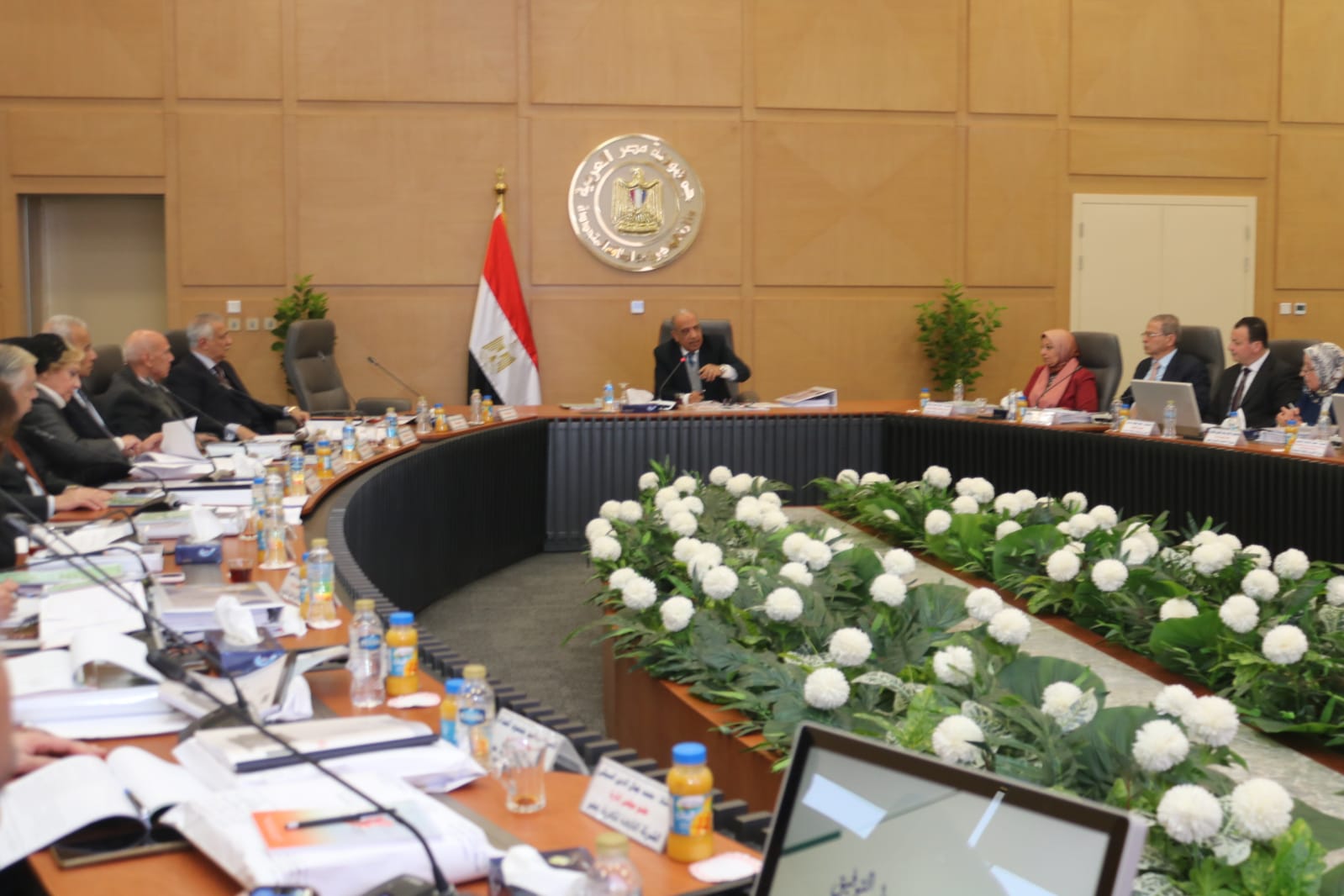 وزير الكهرباء 