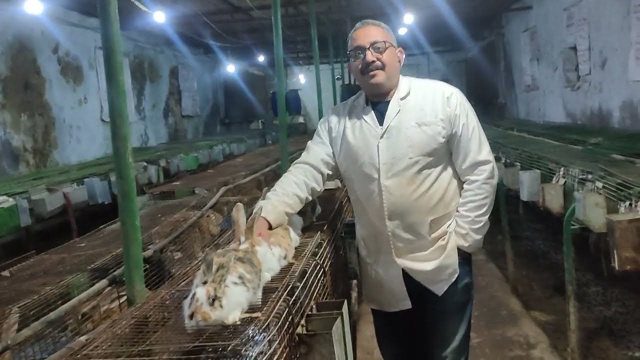 مؤسس راشد لتربية الأرانب