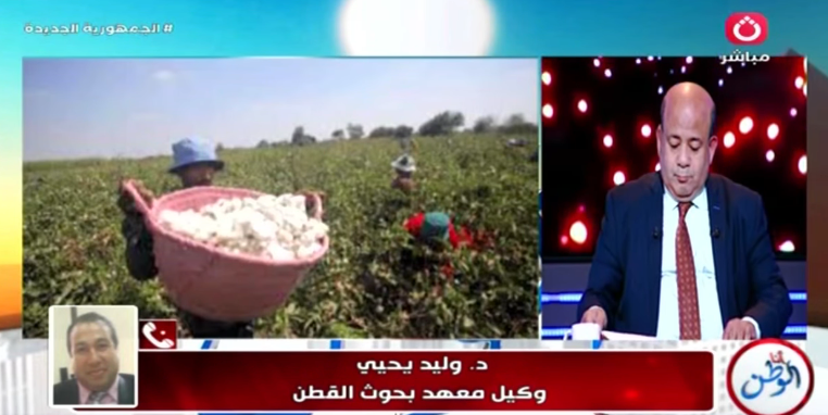 مداخلة وكيل معهد بحوث القطن